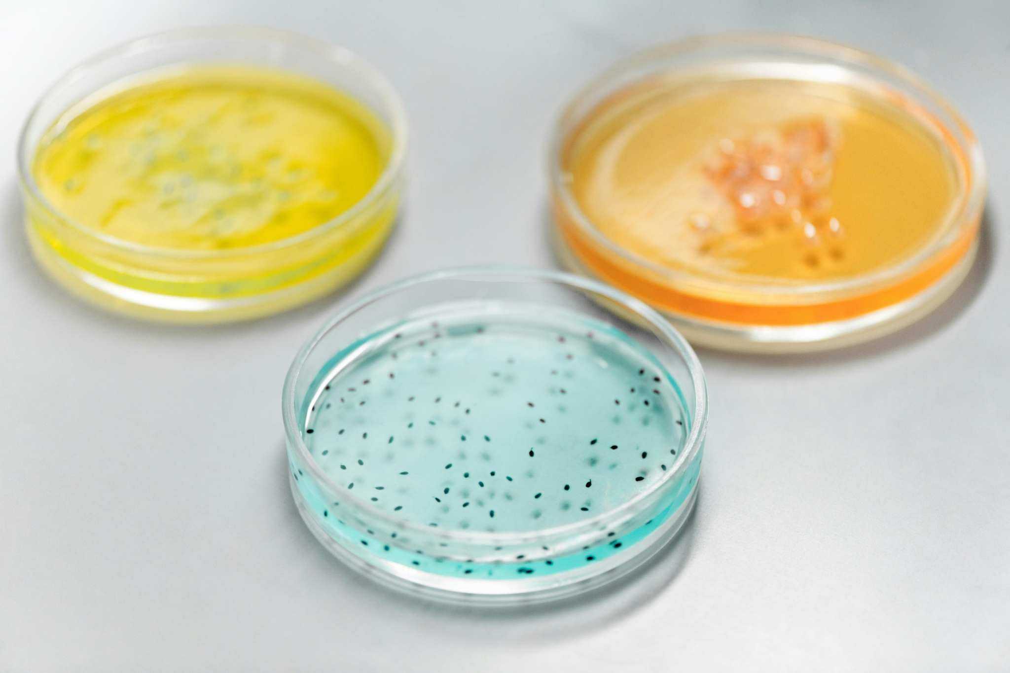 The Skin Microbiome: What It Is and How to Keep It Healthy