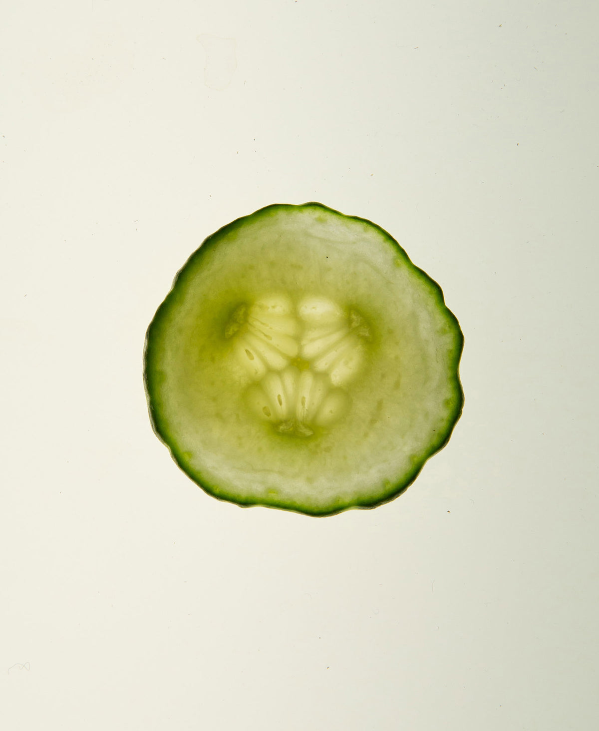 Cucumber ingredient in Daily Soothe